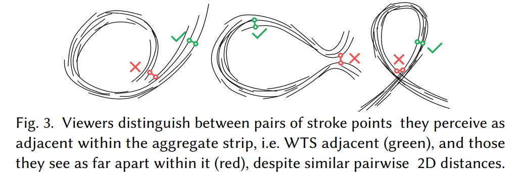 How viewer see adjacent points,(WTS: within the strip)